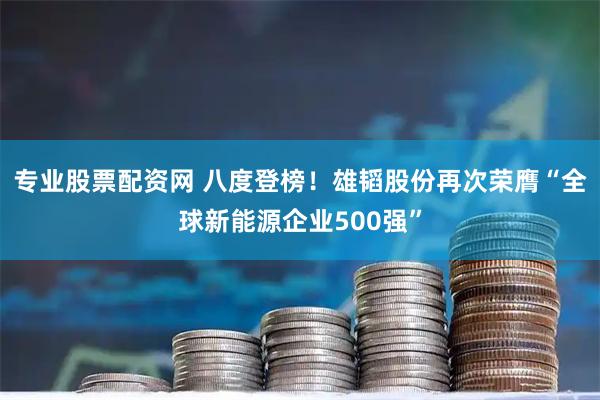 专业股票配资网 八度登榜！雄韬股份再次荣膺“全球新能源企业500强”